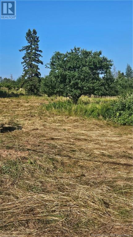 940 Route, Midgic, New Brunswick  E4L 1X1 - Photo 7 - NB123856