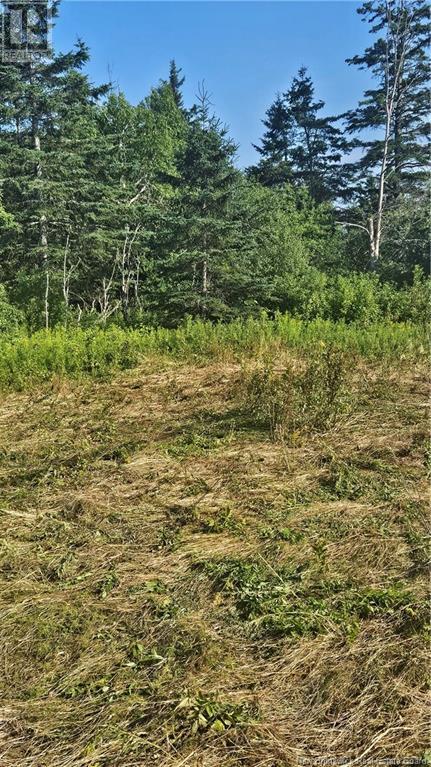 940 Route, Midgic, New Brunswick  E4L 1X1 - Photo 8 - NB123856
