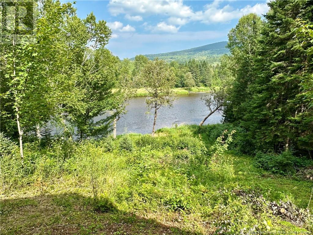 Route 385, Blue Mountain Bend, New Brunswick  E7G 3K4 - Photo 22 - NB121545