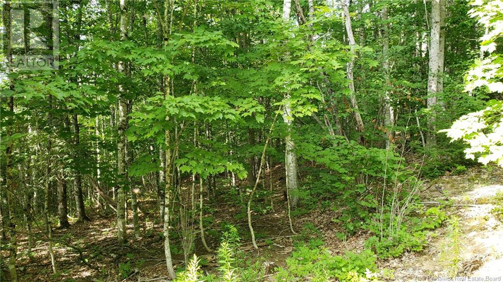 22 Law Road, Picadilly, New Brunswick  E4E 5H3 - Photo 7 - NB123932
