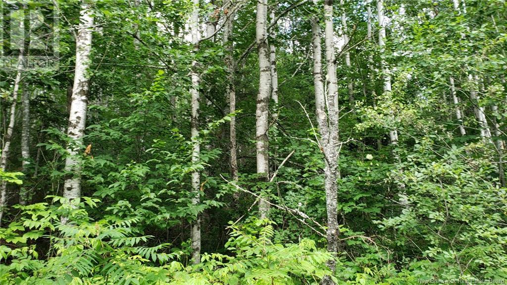 22 Law Road, Picadilly, New Brunswick  E4E 5H3 - Photo 8 - NB123932