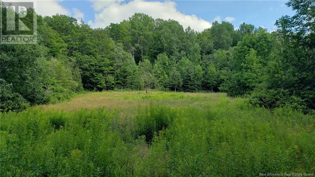 22 Law Road, Picadilly, New Brunswick  E4E 5H3 - Photo 9 - NB123932