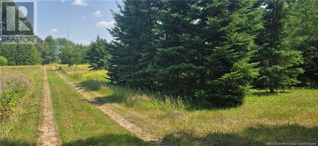 16.9 Acres Route 135, Hacheyville, New Brunswick  E8M 1J5 - Photo 10 - NB123831