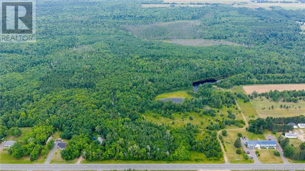 16.9 Acres Route 135, Hacheyville, New Brunswick  E8M 1J5 - Photo 12 - NB123831