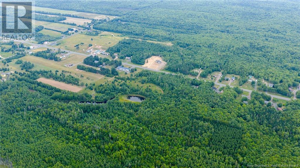 16.9 Acres Route 135, Hacheyville, New Brunswick  E8M 1J5 - Photo 17 - NB123831