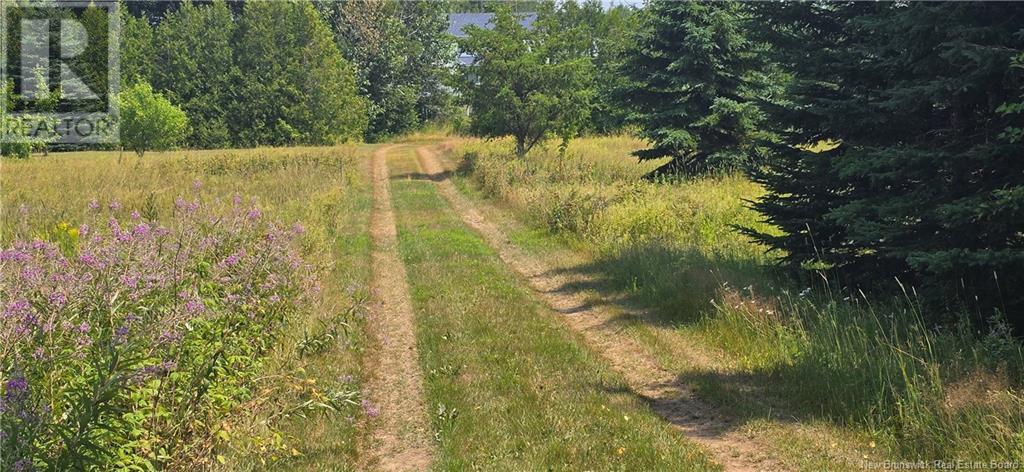 16.9 Acres Route 135, Hacheyville, New Brunswick  E8M 1J5 - Photo 4 - NB123831