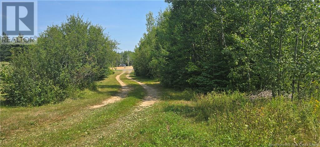 16.9 Acres Route 135, Hacheyville, New Brunswick  E8M 1J5 - Photo 5 - NB123831