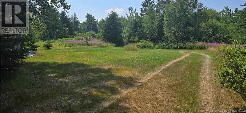16.9 Acres Route 135, Hacheyville, New Brunswick  E8M 1J5 - Photo 6 - NB123831