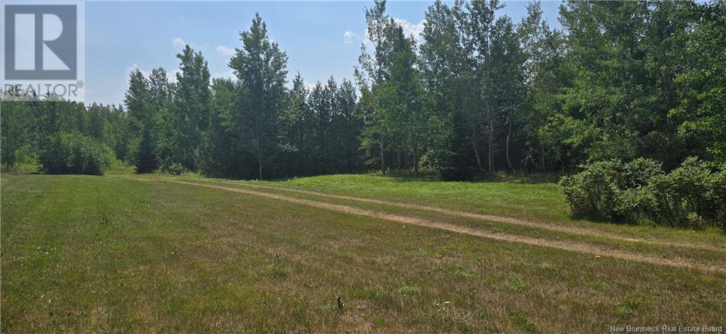 16.9 Acres Route 135, Hacheyville, New Brunswick  E8M 1J5 - Photo 7 - NB123831