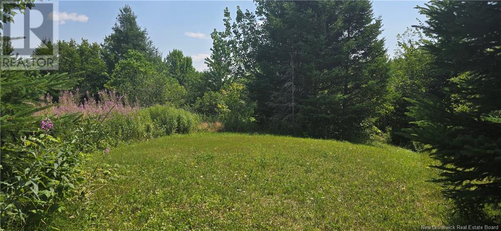 16.9 Acres Route 135, Hacheyville, New Brunswick  E8M 1J5 - Photo 8 - NB123831