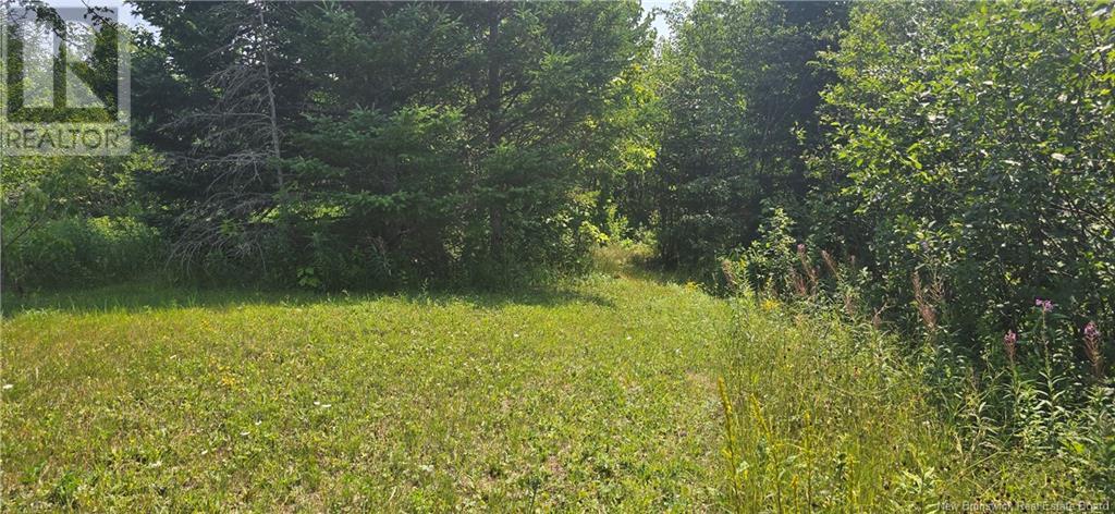 16.9 Acres Route 135, Hacheyville, New Brunswick  E8M 1J5 - Photo 9 - NB123831
