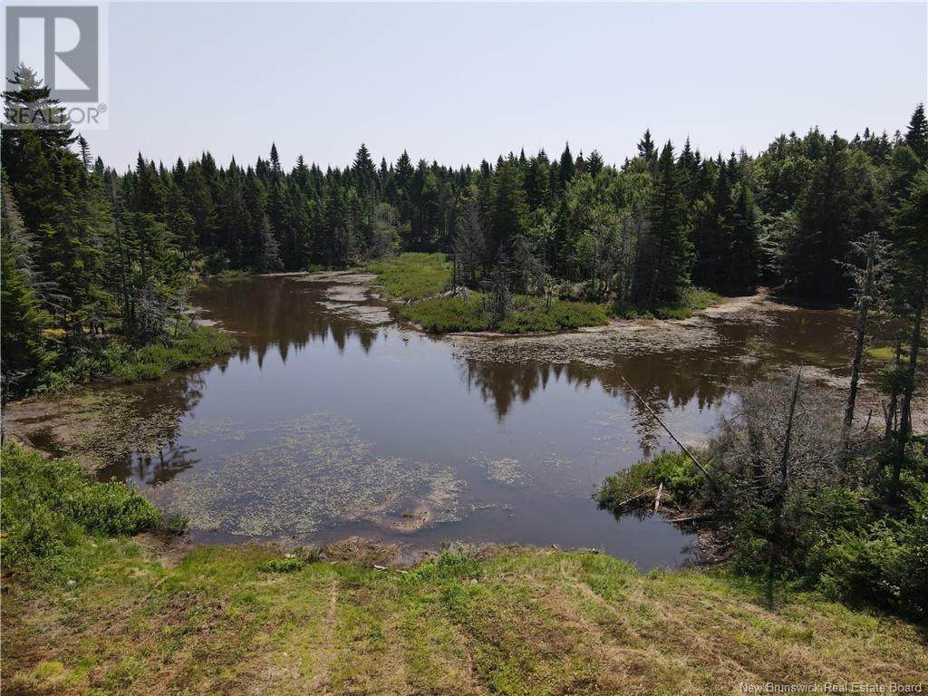855 Shepody Road, Londonderry, New Brunswick  E4E 0K8 - Photo 49 - NB123865