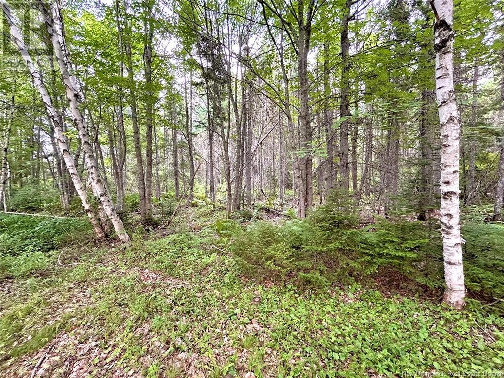 49 Front Road, Bay Du Vin, New Brunswick  E1N 6L3 - Photo 13 - NB123895