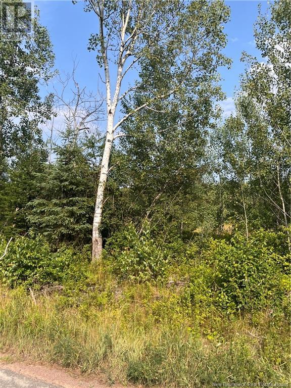 Lot Indian Island Road, Indian Island, New Brunswick  E4W 1S5 - Photo 12 - NB123945