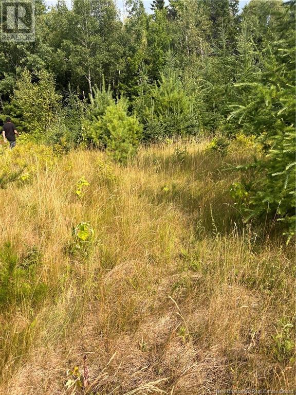 Lot Indian Island Road, Indian Island, New Brunswick  E4W 1S5 - Photo 3 - NB123945