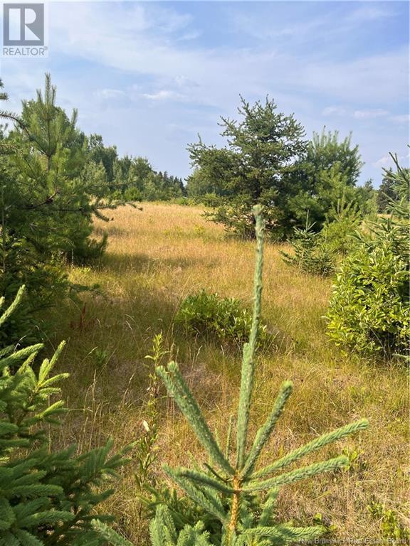 Lot Indian Island Road, Indian Island, New Brunswick  E4W 1S5 - Photo 5 - NB123945