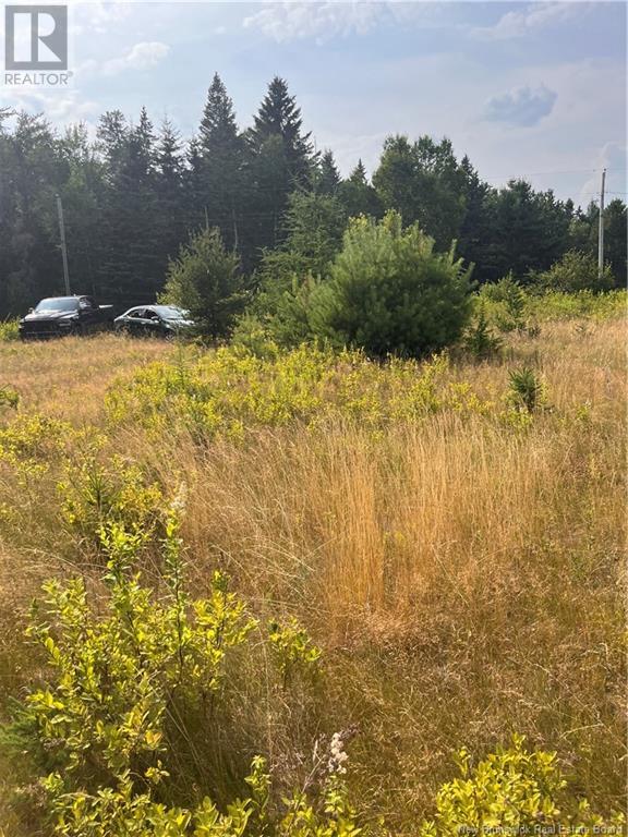 Lot Indian Island Road, Indian Island, New Brunswick  E4W 1S5 - Photo 6 - NB123945