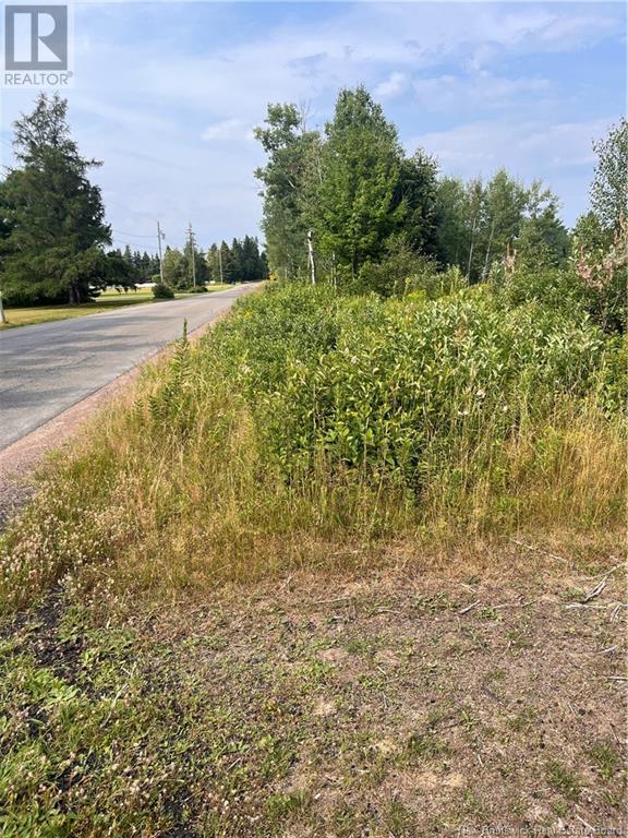 Lot Indian Island Road, Indian Island, New Brunswick  E4W 1S5 - Photo 7 - NB123945