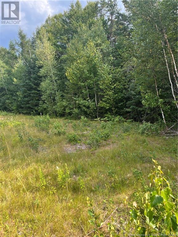 Lot Indian Island Road, Indian Island, New Brunswick  E4W 1S5 - Photo 8 - NB123945