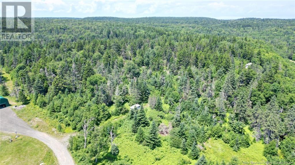 Lot 04-01 Green Street, Grand Manan, New Brunswick  E5G 4B8 - Photo 15 - NB124027