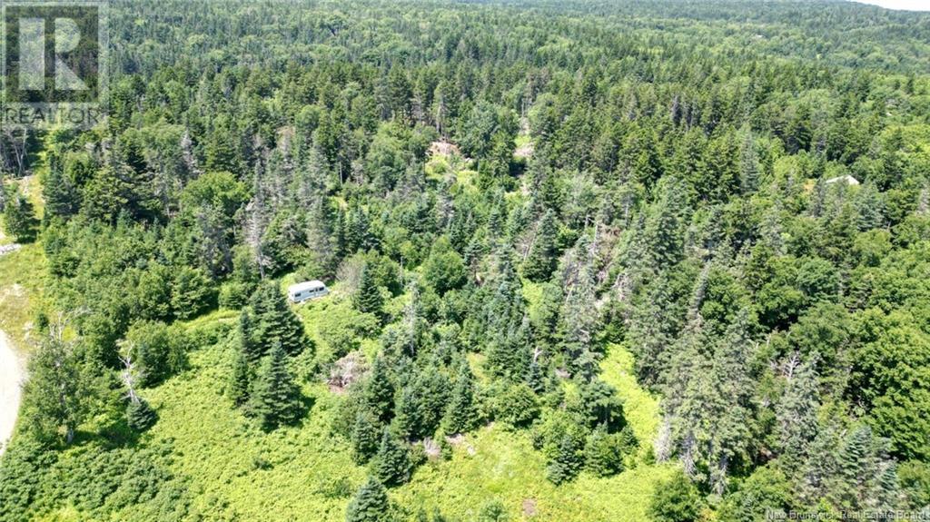 Lot 04-01 Green Street, Grand Manan, New Brunswick  E5G 4B8 - Photo 17 - NB124027