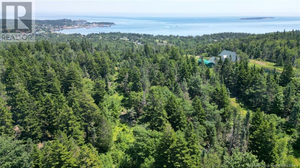 Lot 04-01 Green Street, Grand Manan, New Brunswick  E5G 4B8 - Photo 19 - NB124027