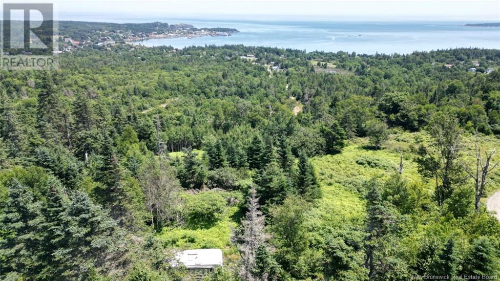 Lot 04-01 Green Street, Grand Manan, New Brunswick  E5G 4B8 - Photo 2 - NB124027