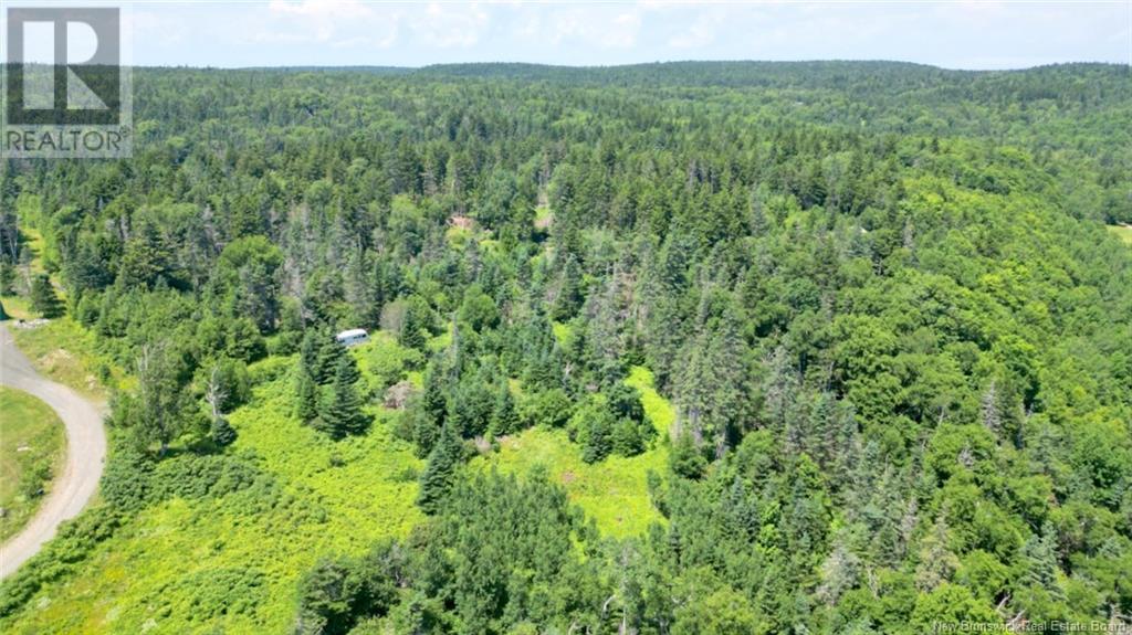 Lot 04-01 Green Street, Grand Manan, New Brunswick  E5G 4B8 - Photo 3 - NB124027