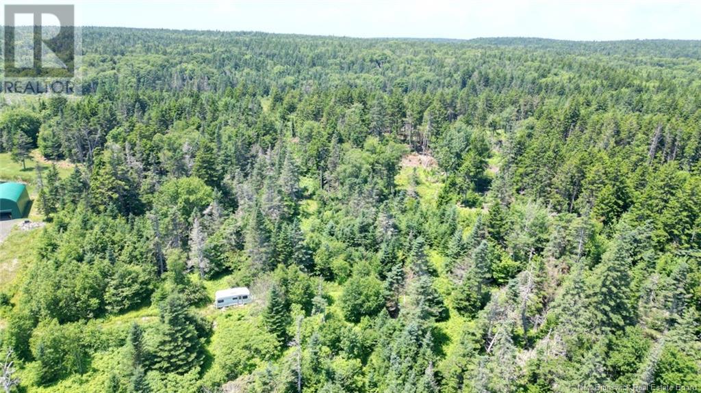 Lot 04-01 Green Street, Grand Manan, New Brunswick  E5G 4B8 - Photo 4 - NB124027