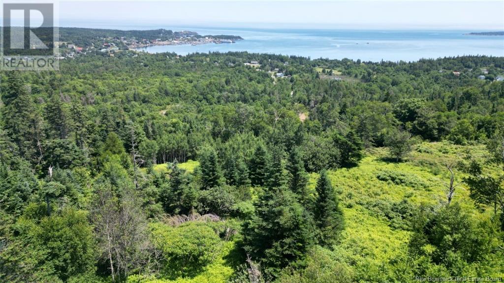 Lot 04-01 Green Street, Grand Manan, New Brunswick  E5G 4B8 - Photo 5 - NB124027