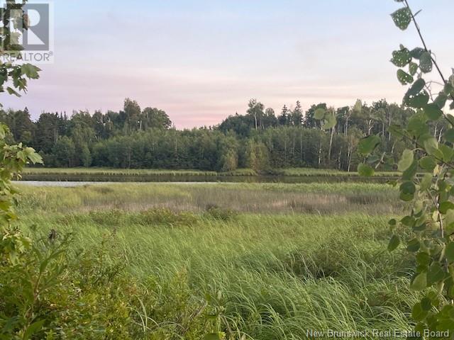 1359 Route 365, Gauvreau, New Brunswick  E1X 2P5 - Photo 41 - NB124037