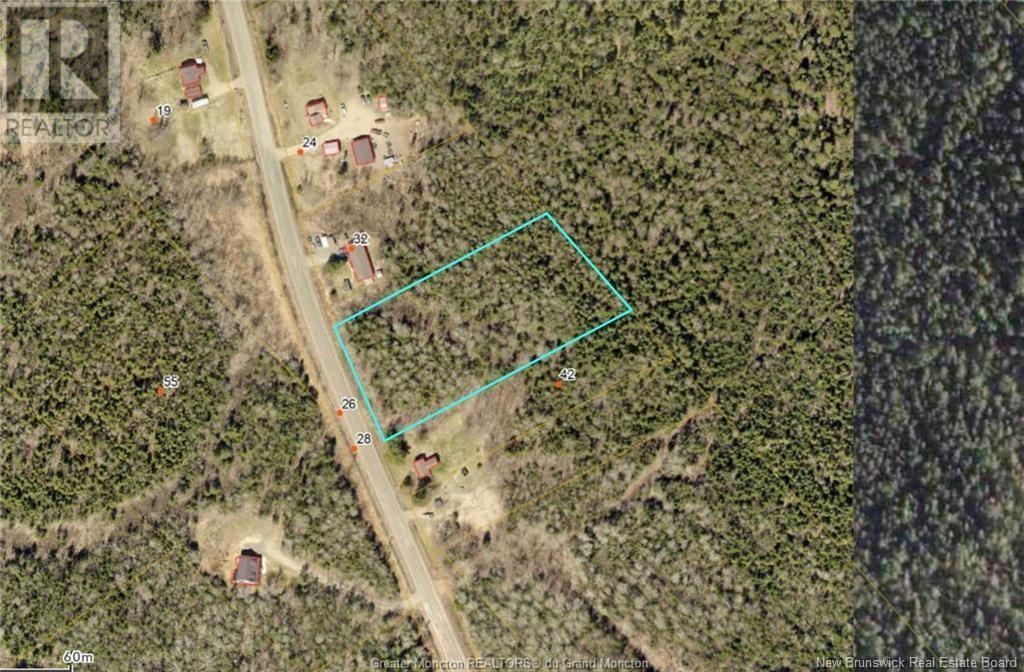 Lot Grub Road, Colpitts Settlement, New Brunswick  E4J 1E1 - Photo 1 - NB124002