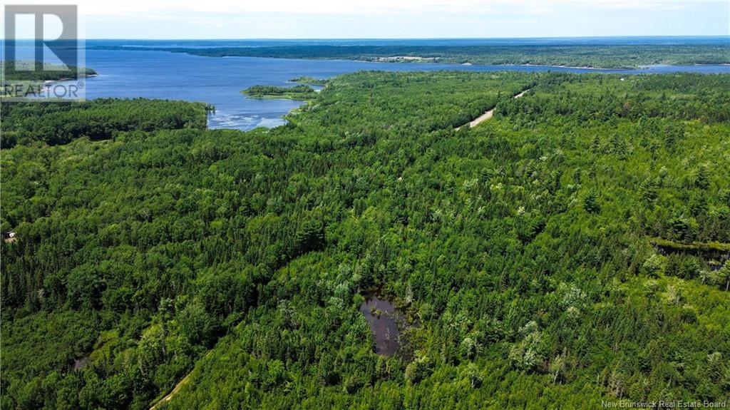 9533 Route 10, Cumberland Bay, New Brunswick  E4A 3G8 - Photo 10 - NB124051