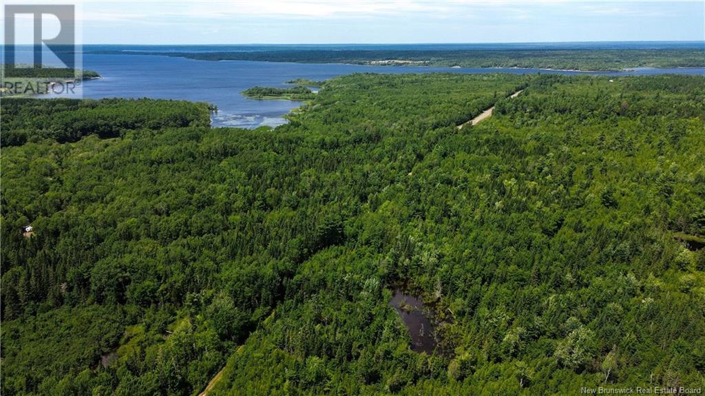 9533 Route 10, Cumberland Bay, New Brunswick  E4A 3G8 - Photo 11 - NB124051