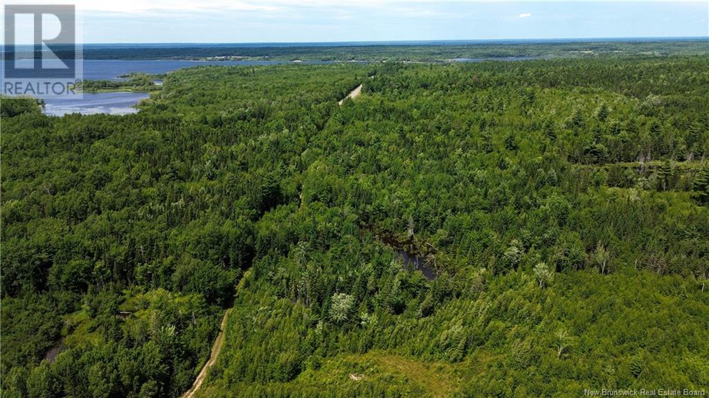 9533 Route 10, Cumberland Bay, New Brunswick  E4A 3G8 - Photo 12 - NB124051