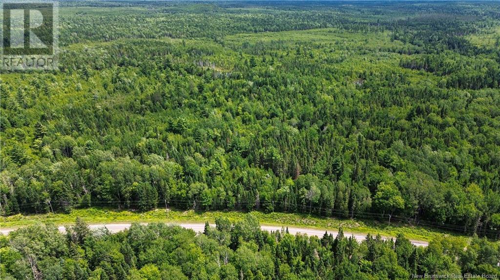 9533 Route 10, Cumberland Bay, New Brunswick  E4A 3G8 - Photo 13 - NB124051