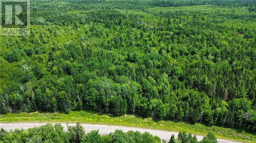 9533 Route 10, Cumberland Bay, New Brunswick  E4A 3G8 - Photo 14 - NB124051