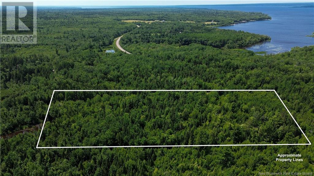 9533 Route 10, Cumberland Bay, New Brunswick  E4A 3G8 - Photo 3 - NB124051