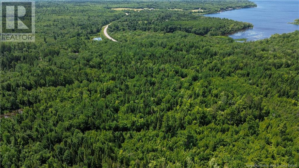 9533 Route 10, Cumberland Bay, New Brunswick  E4A 3G8 - Photo 5 - NB124051