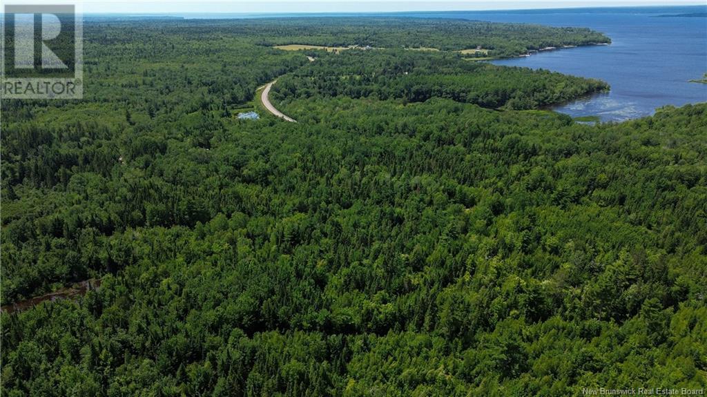 9533 Route 10, Cumberland Bay, New Brunswick  E4A 3G8 - Photo 6 - NB124051