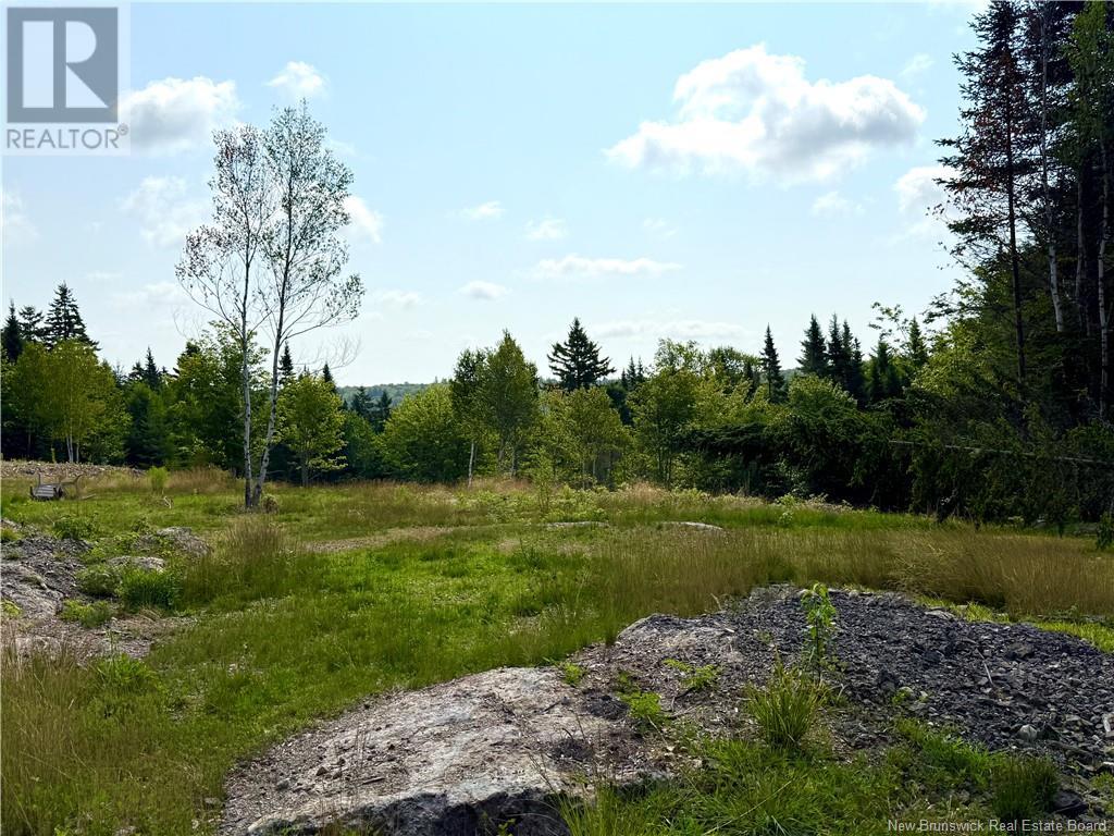 Lot Spruce Lane, Damascus, New Brunswick  E5N 0P2 - Photo 10 - NB124064