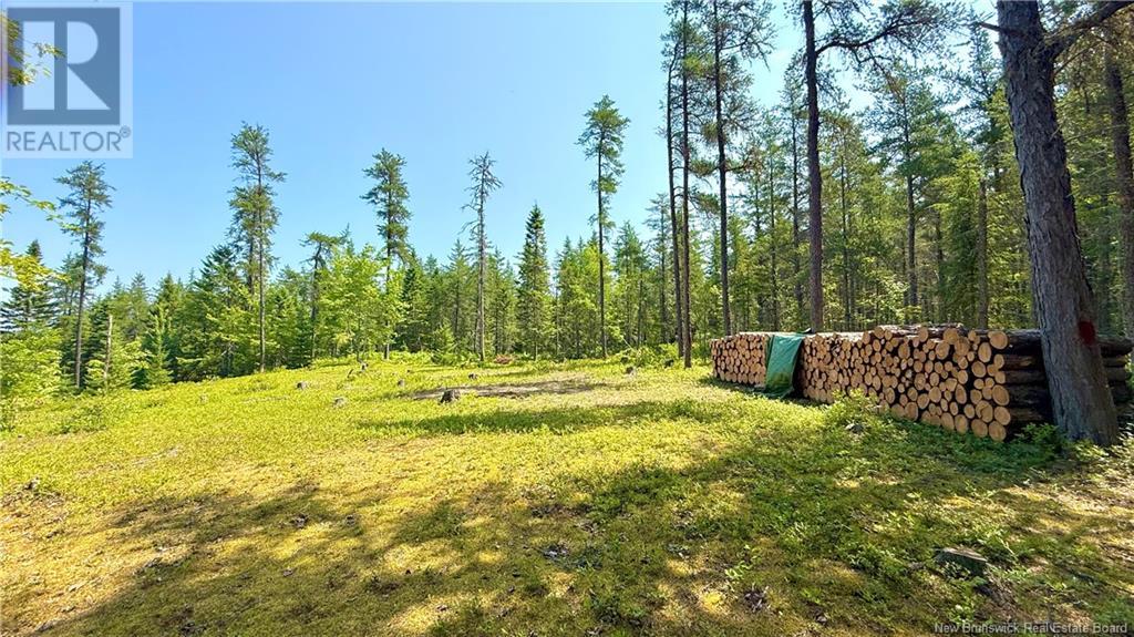 194 Meadow Brook Road, Cains River, New Brunswick  E9B 0E6 - Photo 29 - NB124026