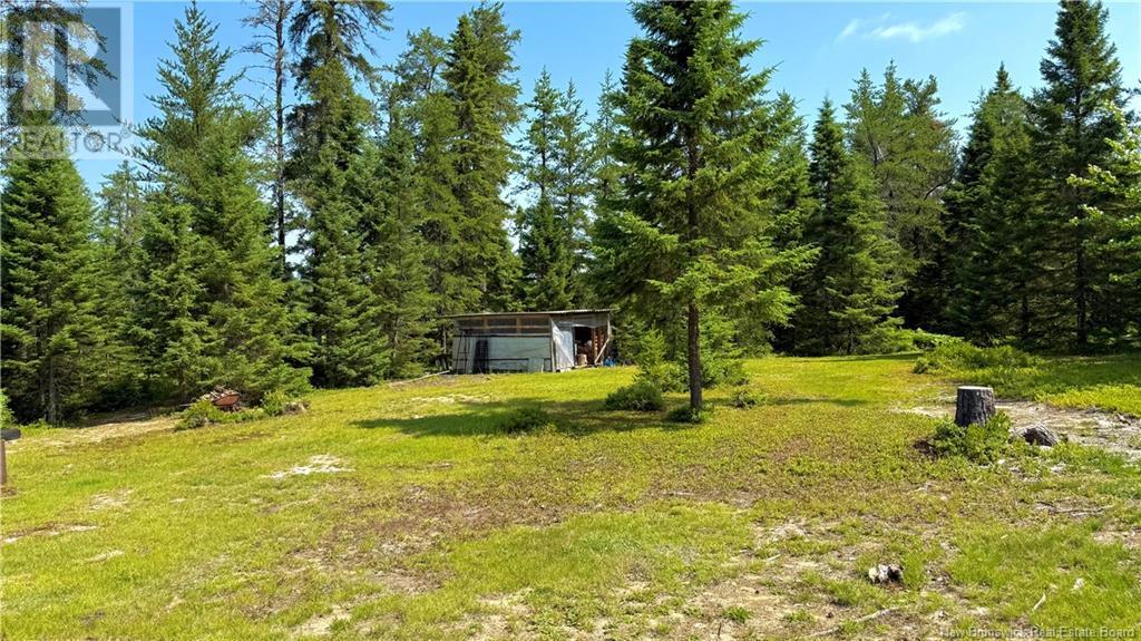 194 Meadow Brook Road, Cains River, New Brunswick  E9B 0E6 - Photo 33 - NB124026