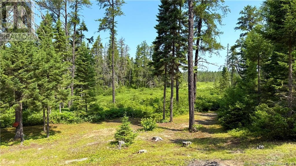 194 Meadow Brook Road, Cains River, New Brunswick  E9B 0E6 - Photo 36 - NB124026