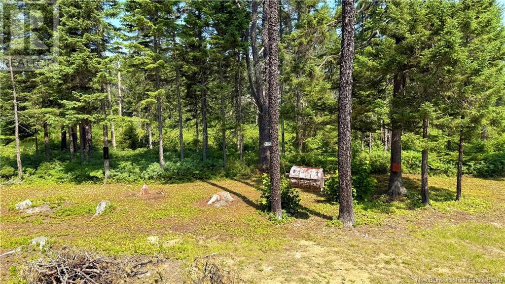 194 Meadow Brook Road, Cains River, New Brunswick  E9B 0E6 - Photo 37 - NB124026