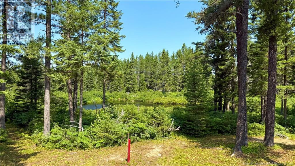194 Meadow Brook Road, Cains River, New Brunswick  E9B 0E6 - Photo 38 - NB124026