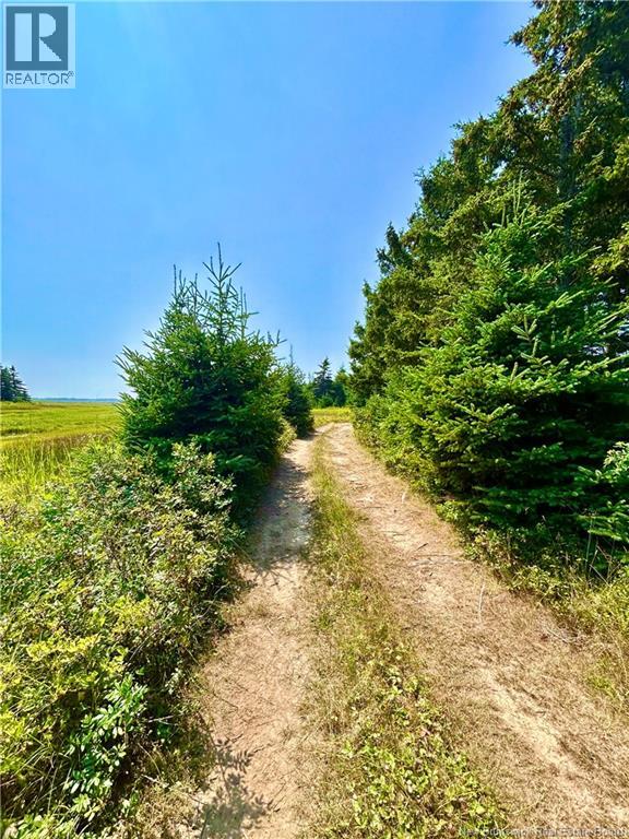Lot Miscou Harbour, Miscou, New Brunswick  E8T 2E6 - Photo 10 - NB124093