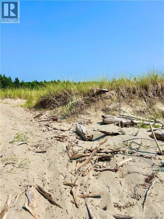 Lot Miscou Harbour, Miscou, New Brunswick  E8T 2E6 - Photo 16 - NB124093