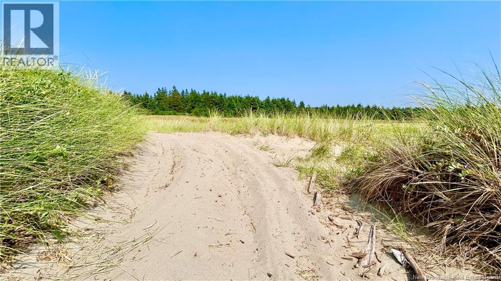 Lot Miscou Harbour, Miscou, New Brunswick  E8T 2E6 - Photo 17 - NB124093