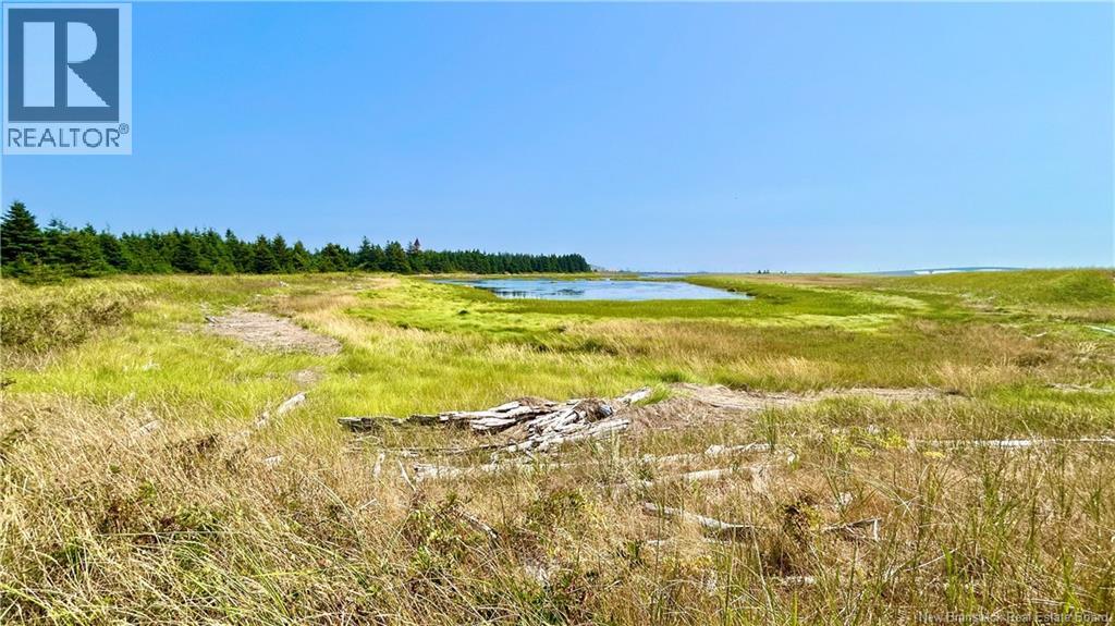 Lot Miscou Harbour, Miscou, New Brunswick  E8T 2E6 - Photo 18 - NB124093